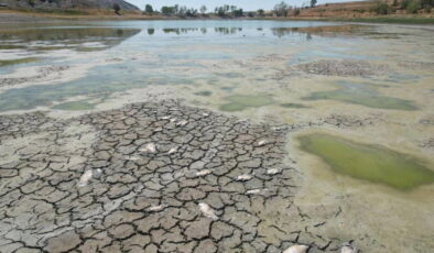 Kızılca Göleti sorunu çözülemiyor