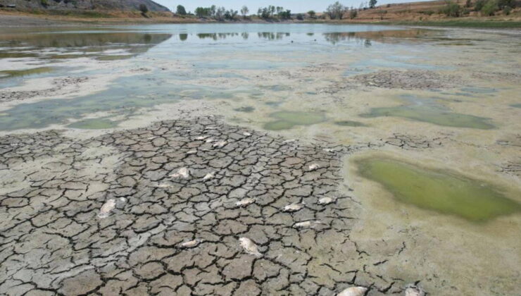 Kızılca Göleti sorunu çözülemiyor