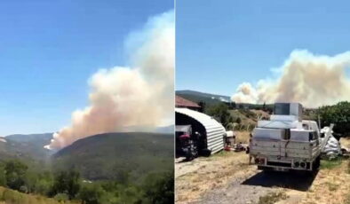 Kocaeli’nde orman yangını: Dumanlar Bursa’ya ulaştı!