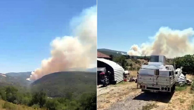 Kocaeli’nde orman yangını: Dumanlar Bursa’ya ulaştı!