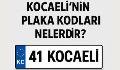 Kocaeli’nin plaka kodu ne? Kocaeli’nin plaka numarası kaç? Kocaeli ve ilçelerinin plaka harfleri…