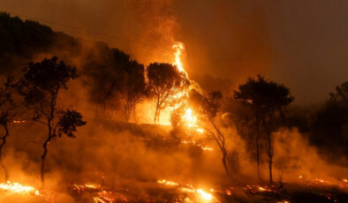 Korkutan rapor: Türkiye, Kıbrıs ve Yunanistan’daki yıkıcı yangınların olasılığı 10 kat arttı