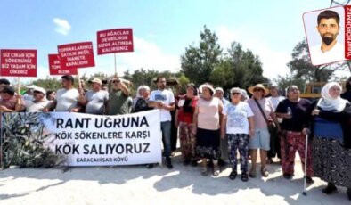 Köylüler nöbette, hukuk mücadelesi başlıyor: ‘Zeytinlikler için Danıştay’a iptal davası açacağız’