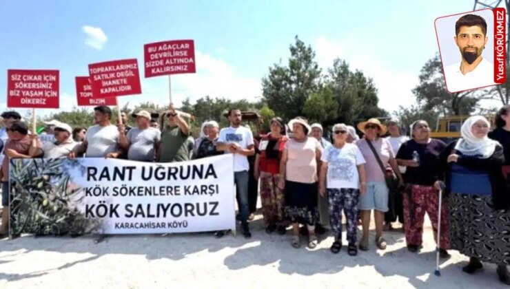 Köylüler nöbette, hukuk mücadelesi başlıyor: ‘Zeytinlikler için Danıştay’a iptal davası açacağız’