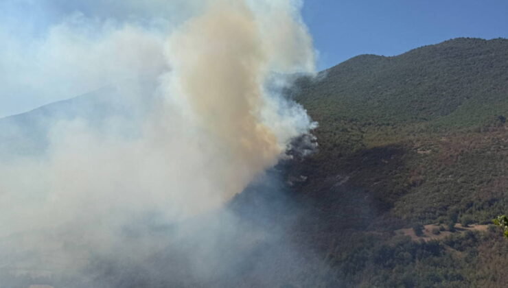 Küre Dağları Milli Parkı’nda orman yangını!