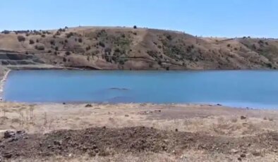 Kurtarmaya çalıştığı kuzeniyle birlikte boğuldu!