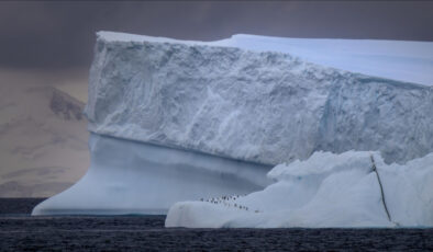 ‘Kutup Bölgeleri Koordinasyon Kurulu’ kuruldu