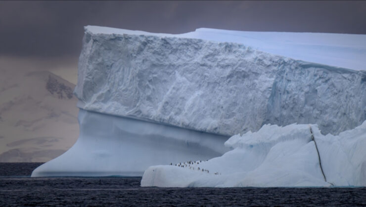 ‘Kutup Bölgeleri Koordinasyon Kurulu’ kuruldu