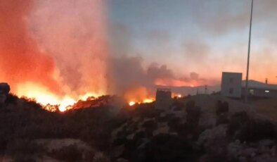 Lice’de orman yangını! 3 kişi dumandna etkilendi…