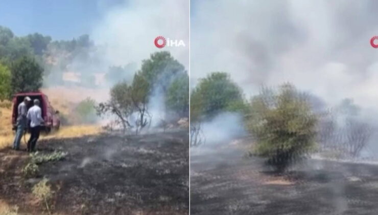 Malatya’da orman yangını!