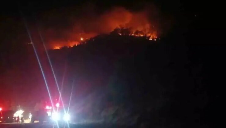 Malatya’daki orman yangını! 9 saati geride bıraktı… Alevler yükseliyor