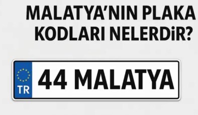 Malatya’nın plaka kodu ne? Malatya’nın plaka numarası kaç? Malatya ve ilçelerinin plaka harfleri…