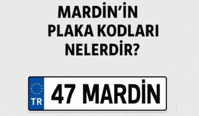 Mardin’in plaka kodu ne? Mardin’in plaka numarası kaç? Mardin ve ilçelerinin plaka harfleri…
