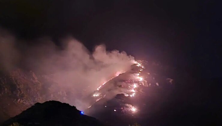 Marmara Adası’nda orman yangını!
