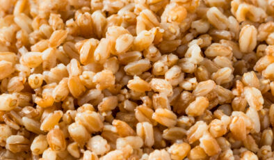 Medeniyete yön veren en eski tahıl: Ferro