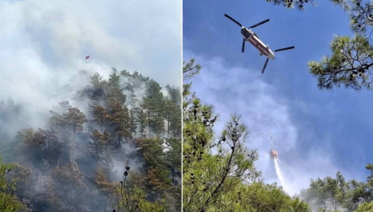 Mersin’de orman yangını: Kontrol altına alındı!