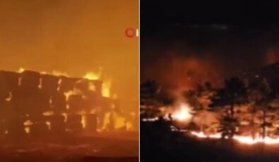 Mersin’deki orman yangınına müdahale sürüyor: Fabrikaya yaklaştı!