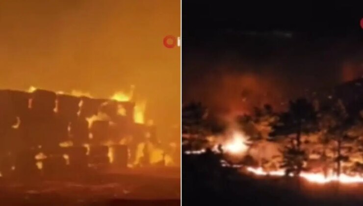 Mersin’deki orman yangınına müdahale sürüyor: Fabrikaya yaklaştı!