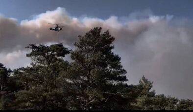 Mersin’in 2 ilçesinde orman yangını: Müdahale sürüyor!