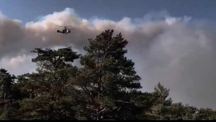 Mersin’in 2 ilçesinde orman yangını: Müdahale sürüyor!
