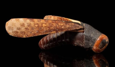 Mezarda bulunmuştu! Dünyanın en değerli çekirgesi 450 bin dolara satıldı