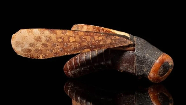 Mezarda bulunmuştu! Dünyanın en değerli çekirgesi 450 bin dolara satıldı