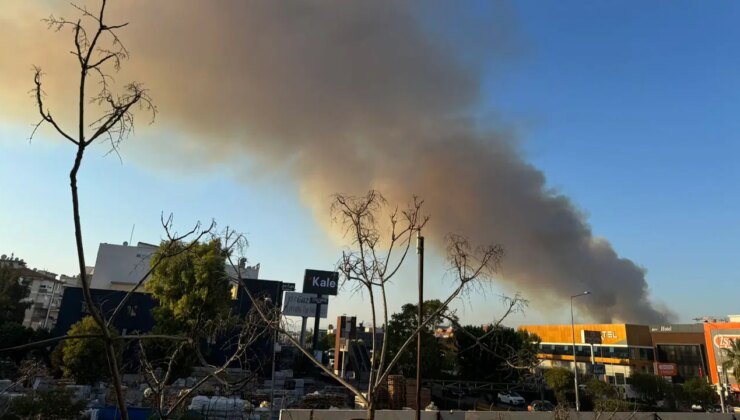 Minibüs yangını ormana sıçradı: Müdahale ediliyor!