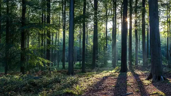 Muğla’da iki mermer ocağı projesi durduruldu