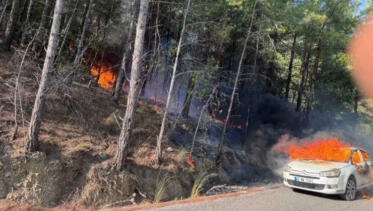 Muğla’da park halindeki otomobilde çıkan yangın ormana sıçradı!