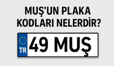 Muş’un plaka kodu ne? Muş’un plaka numarası kaç? Muş ve ilçelerinin plaka harfleri…