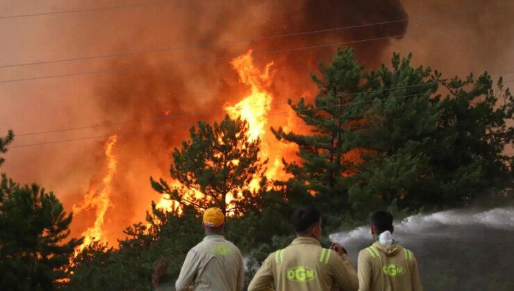 OGM’den kritik uyarı: ‘Yüksek yangın riski var’