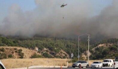 OGM’den Mersin ve Çanakkale’deki yangınlara ilişkin açıklama!