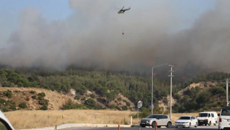 OGM’den Mersin ve Çanakkale’deki yangınlara ilişkin açıklama!