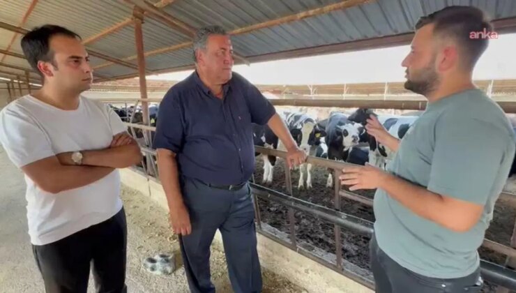 Ömer Fethi Gürer: ‘Hayvancılık ciddi bir krizle karşı karşıya’