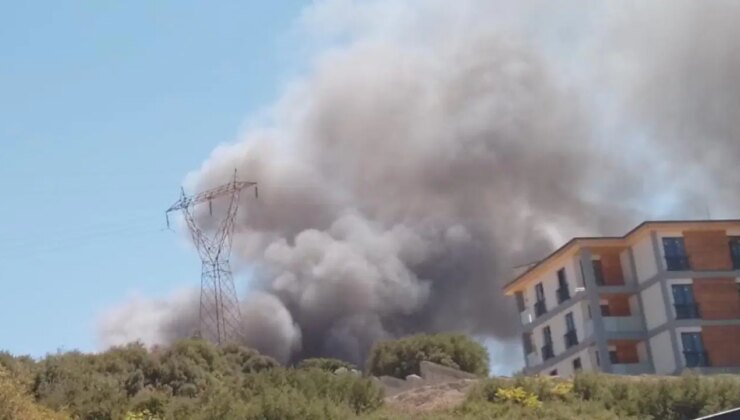 Orman Genel Müdürlüğü’nün inşaatında yangın: Havadan ve karadan müdahale ediliyor