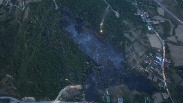 Orman yangınındaki acı tablo havadan görüntülendi