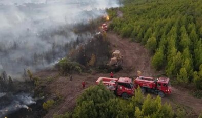 ‘Orman Yangınlarıyla Mücadele’ raporu yayımlandı: ‘Bakan yardımcılarından orman mühendisi olan yok!’