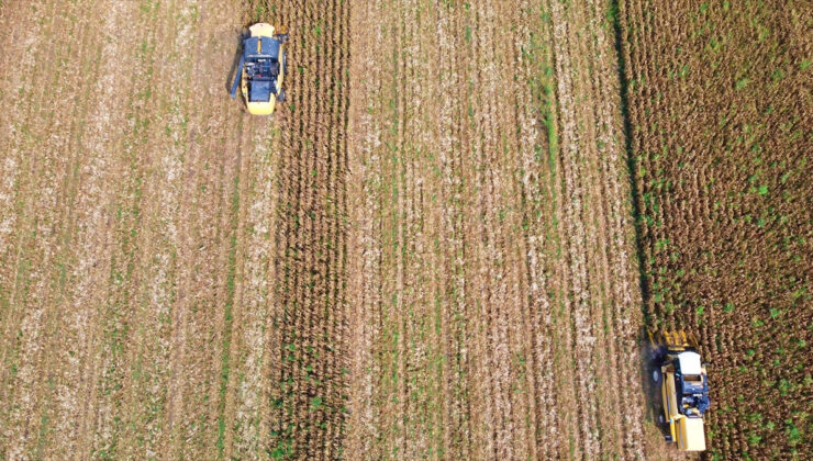 Osmaniye’de biçerdöverler mısır hasadı için tarlalara girdi