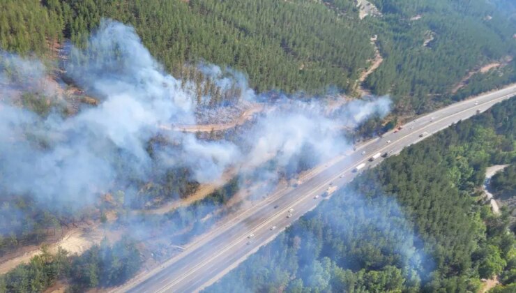Otoyolda otomobilde çıkan yangın, ormana sıçradı