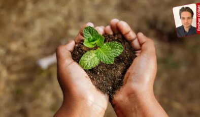 Prof. Dr. Doğanay Tolunay bilgilendirdi: ‘Yangın sonrası hemen ağaçlandırma yapılması doğru değil’