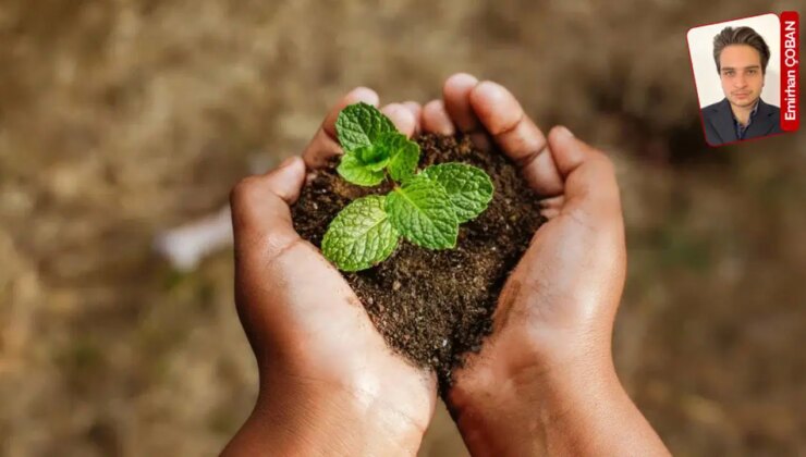 Prof. Dr. Doğanay Tolunay bilgilendirdi: ‘Yangın sonrası hemen ağaçlandırma yapılması doğru değil’