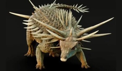 ‘Punk rock’: Yeni bir dikenli dinozor keşfedildi