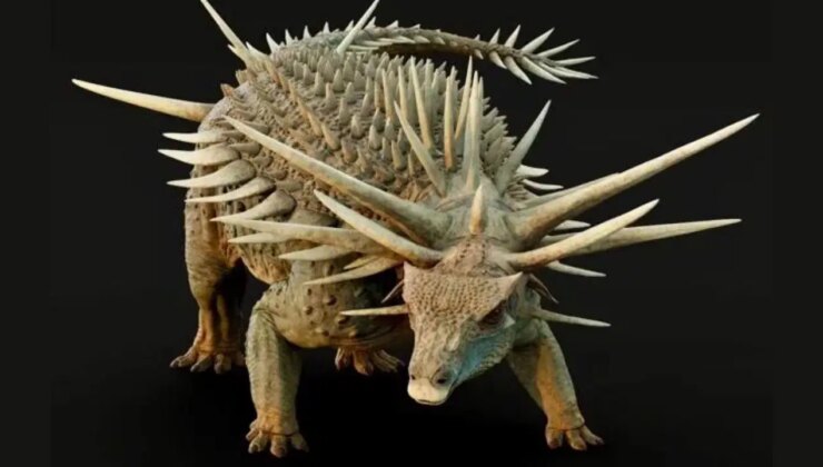 ‘Punk rock’: Yeni bir dikenli dinozor keşfedildi
