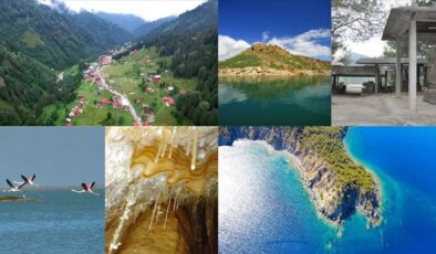 Resmi Gazete’de yayımlandı: Doğal sit alanlarında hayvan bakımevleri ve doğal yaşam alanları kurulabilecek