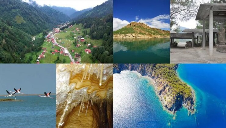 Resmi Gazete’de yayımlandı: Doğal sit alanlarında hayvan bakımevleri ve doğal yaşam alanları kurulabilecek