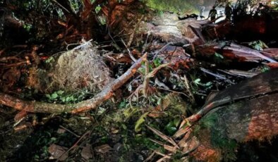 Rize’de heyelan: Yol ulaşıma kapandı