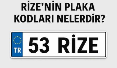 Rize’nin plaka kodu ne? Rize’nin plaka numarası kaç? Rize ve ilçelerinin plaka harfleri…
