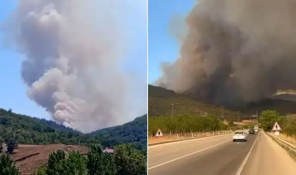 Rüzgar etkili oluyor: Bursa’da orman yangını çıktı