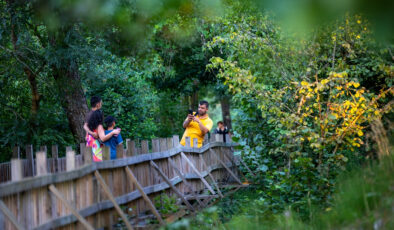 Sakarya Acarlar Longozu, ziyaretçilerini bekliyor