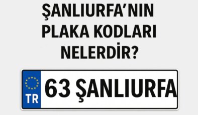 Şanlıurfa’nın plaka kodu ne? Şanlıurfa’nın plaka numarası kaç? Şanlıurfa ve ilçelerinin plaka harfleri..